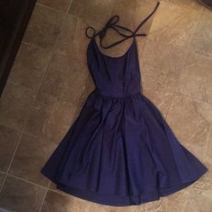 American Apparel Shiny Skater Dress